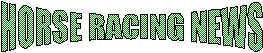 horsera7.jpg (6773 bytes)
